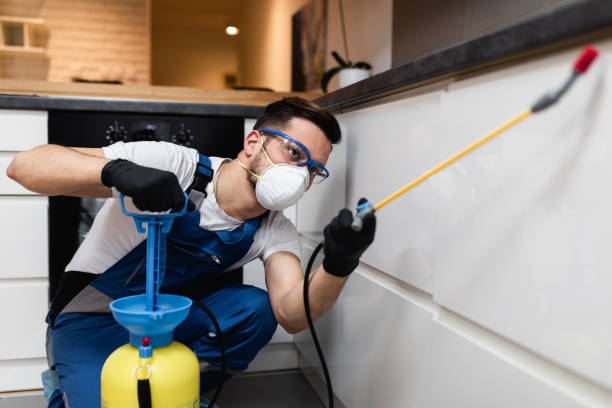 Best Termite Control Services  in Elk Point, SD