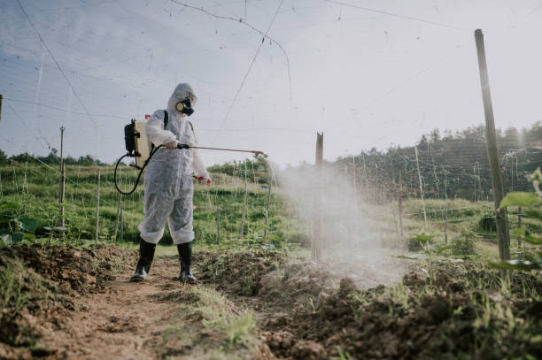Best Best Pest Control Companies  in Elk Point, SD