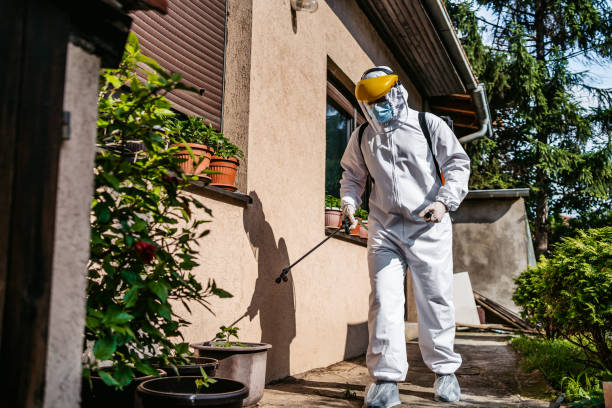 Best Wasp Removal Services  in Elk Point, SD
