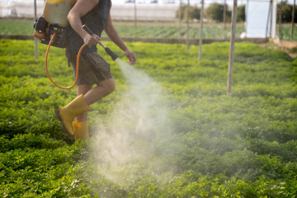 Best Pest Removal Services  in Elk Point, SD