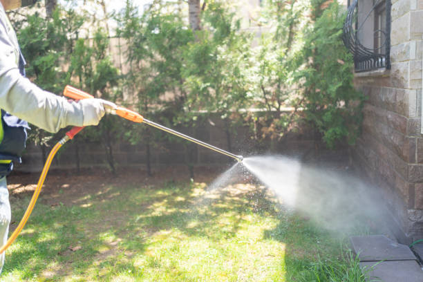 Best Pest Prevention Services  in Elk Point, SD