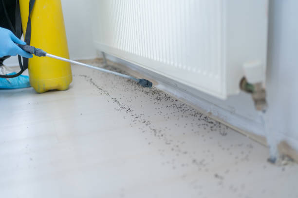 Best Bed Bug Extermination  in Elk Point, SD